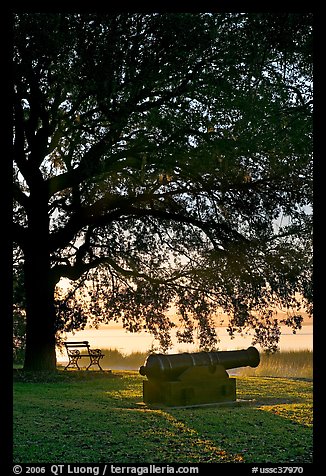Cannon, bench, and oak tree, sunrise. Beaufort, South Carolina, USA (color)