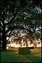 Cannon, bench, and oak tree, sunrise. Beaufort, South Carolina, USA (color)