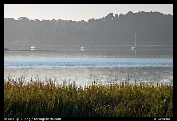 Beaufort Bay, with grasses and yachts. Beaufort, South Carolina, USA (color)