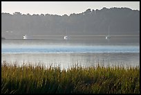 Beaufort Bay, with grasses and yachts. Beaufort, South Carolina, USA