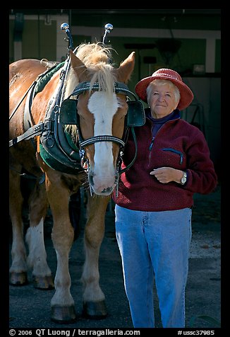 Woman and carriage horse. Beaufort, South Carolina, USA