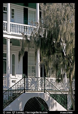 House entrance with spanish moss. Beaufort, South Carolina, USA