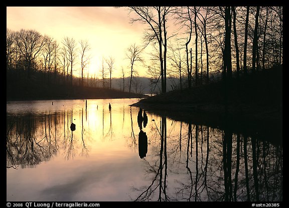 Sunrise over a pond. USA (color)
