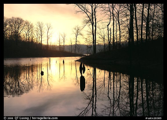 Sunrise over a pond. Tennessee, USA