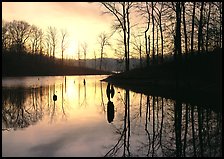 Sunrise over a pond. Tennessee, USA