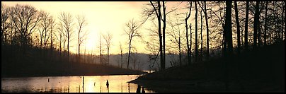 Winter landscape with bare trees and pond at sunrise. Tennessee, USA (Panoramic color)