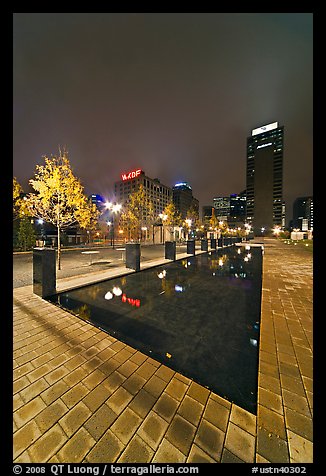 Refecting basin and skyline by night. Nashville, Tennessee, USA