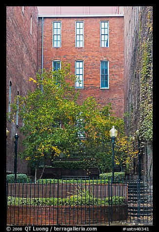 Yard and brick buildings. Nashville, Tennessee, USA