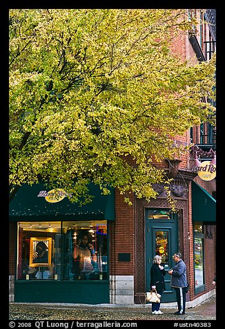 Tree in fall foliage and brick building. Nashville, Tennessee, USA (color)