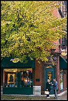 Tree in fall foliage and brick building. Nashville, Tennessee, USA ( color)