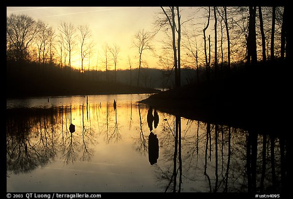 Sunrise over a pond. Tennessee, USA