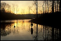 Sunrise over a pond. Tennessee, USA