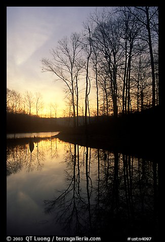 Sunrise over a pond. Tennessee, USA