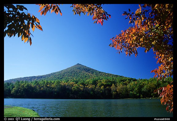 Otter peak framed by fall colors, Blue Ridge Parkway. Virginia, USA (color)