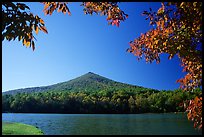 Otter peak framed by fall colors, Blue Ridge Parkway. Virginia, USA