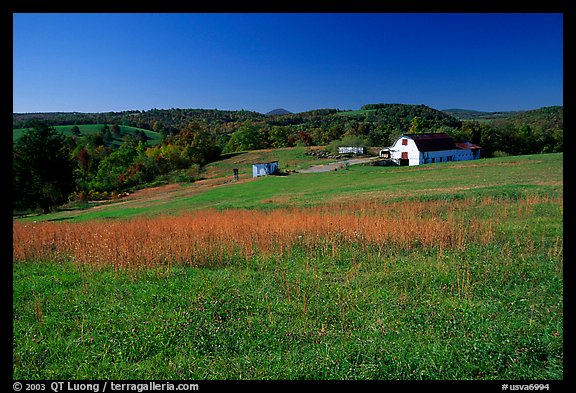 Meadow and barn. Virginia, USA