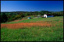 Meadow and barn. Virginia, USA