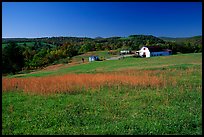 Meadow and barn. Virginia, USA (color)