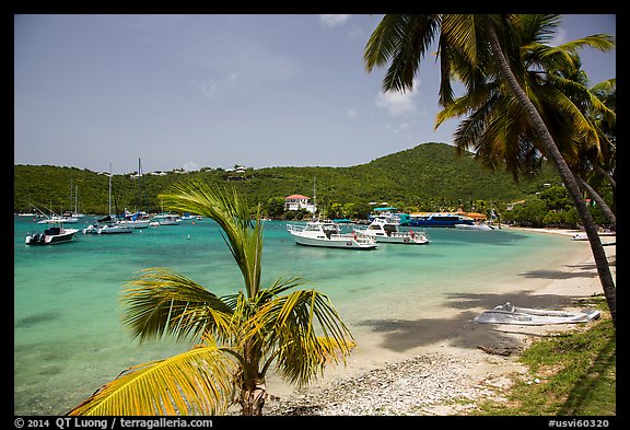 Cruz Bay yacht harbor. Saint John, US Virgin Islands (color)