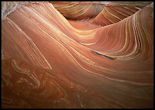 Ondulating stripes, the Wave. Coyote Buttes, Vermilion cliffs National Monument, Arizona, USA (color)