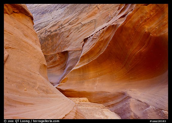 Water Holes Canyon. USA (color)