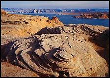 Sandstone Swirls and Lake Powell, Glenn Canyon National Recreation Area, morning. USA ( color)