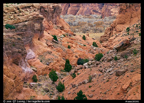 Red rocks, Canyon de Chelly, Junction Overlook. Canyon de Chelly  National Monument, Arizona, USA