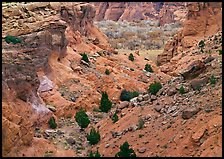 Red rocks, Canyon de Cheilly, Junction Overlook. USA ( color)
