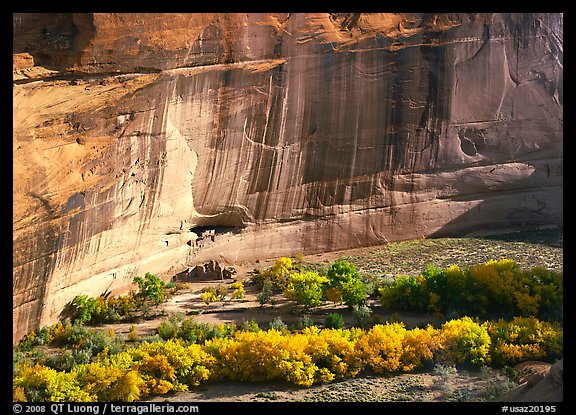 Floor of canyon with cottonwoods in fall colors and White House ruins. Canyon de Chelly  National Monument, Arizona, USA (color)