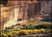 Floor of canyon with cottonwoods in fall colors and White House ruins. Canyon de Chelly  National Monument, Arizona, USA