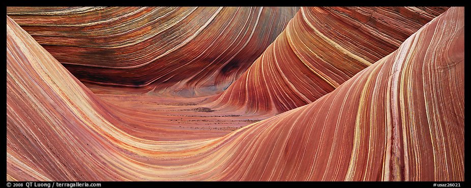 The Wave. Coyote Buttes, Vermilion cliffs National Monument, Arizona, USA (color)