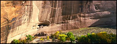 Canyon de Chelly scenery with ruin and trees in autumn color. Canyon de Chelly  National Monument, Arizona, USA (Panoramic color)