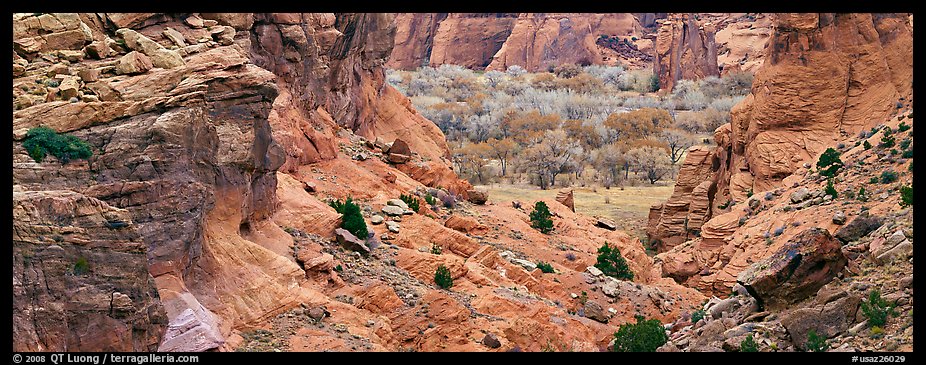 Canyon de Chelly landscape. Canyon de Chelly  National Monument, Arizona, USA (color)