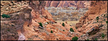 Canyon de Chelly landscape. Canyon de Chelly  National Monument, Arizona, USA (Panoramic color)