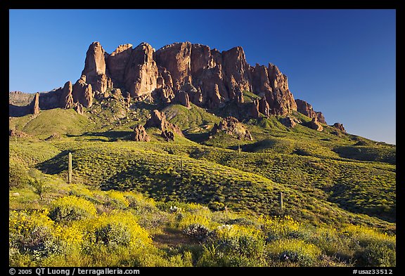 Superstition Mountains in spring, Lost Dutchman State Park, late afternoon. Arizona, USA