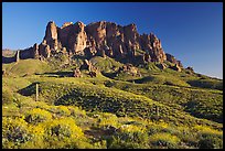 Superstition Mountains in spring, Lost Dutchman State Park, late afternoon. Arizona, USA ( color)