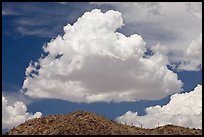 Cloud and ridge with saguaro cactus, Maricopa Mountains. Sonoran Desert National Monument, Arizona, USA