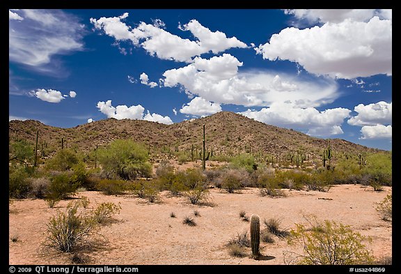 Desert landscape, Maricopa Mountains. Sonoran Desert National Monument, Arizona, USA (color)