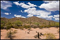 Desert landscape, Maricopa Mountains. Sonoran Desert National Monument, Arizona, USA ( color)