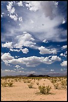 Sandy flat and clouds, South Maricopa Mountains. Sonoran Desert National Monument, Arizona, USA