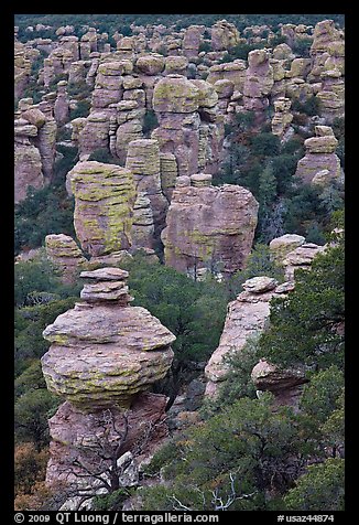 Rhyolite spires. Chiricahua National Monument, Arizona, USA