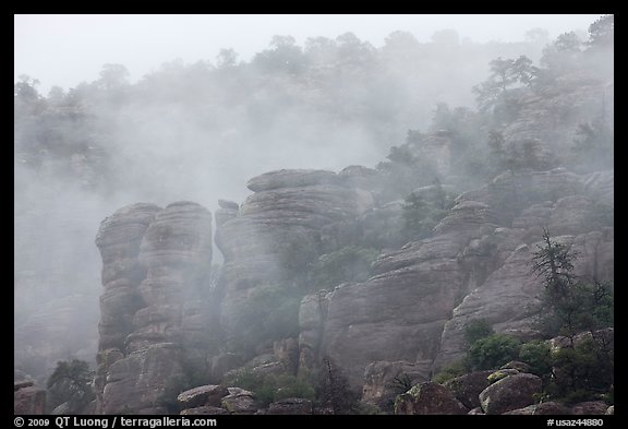 Fog and spires. Chiricahua National Monument, Arizona, USA