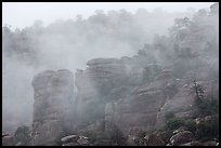 Fog and spires. Chiricahua National Monument, Arizona, USA ( color)