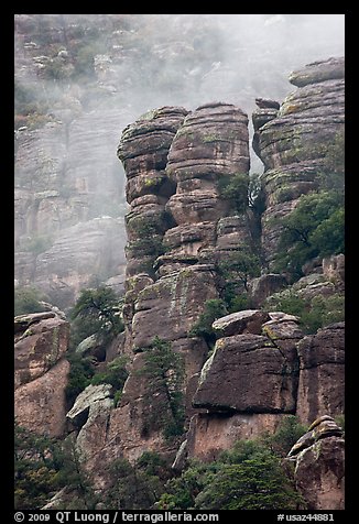 Pinnacles and fog. Chiricahua National Monument, Arizona, USA (color)