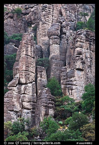 Cliff eroded into stone pillars. Chiricahua National Monument, Arizona, USA