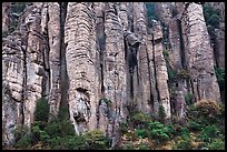 Organ pipe volcanic rock formations. Chiricahua National Monument, Arizona, USA ( color)