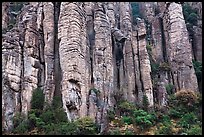 Organ pipe volcanic rock formations. Chiricahua National Monument, Arizona, USA (color)