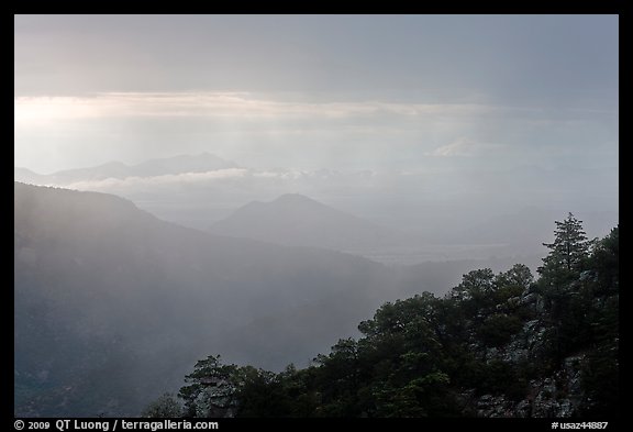 Vegetated ridge and storm. Chiricahua National Monument, Arizona, USA