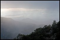 Vegetated ridge and storm. Chiricahua National Monument, Arizona, USA