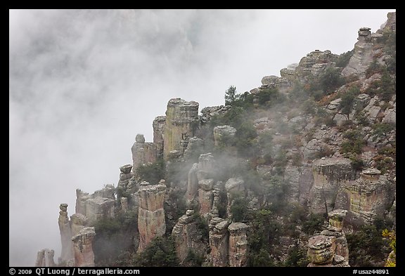 Rock pillars and fog. Chiricahua National Monument, Arizona, USA (color)